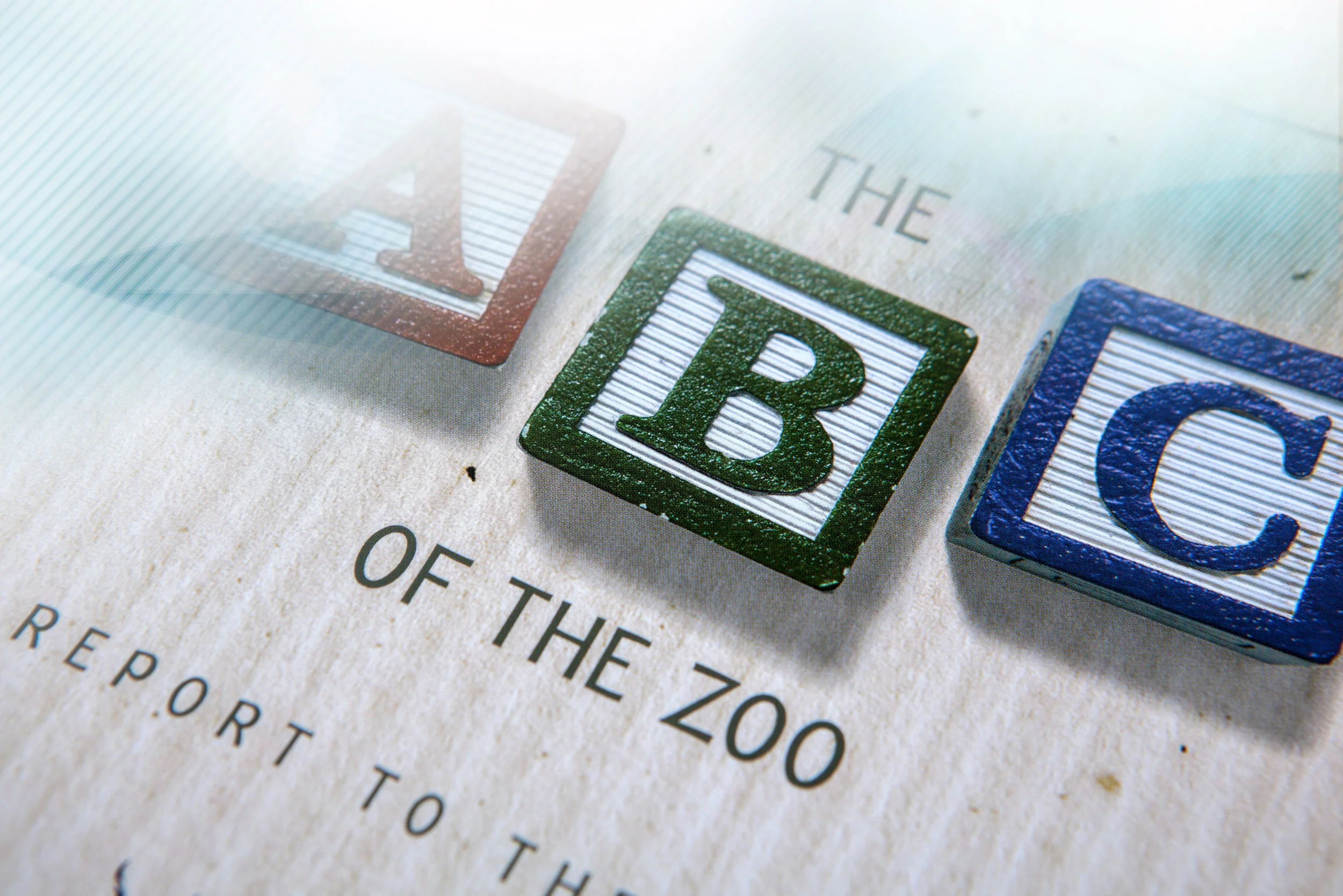 Zoo.jpg