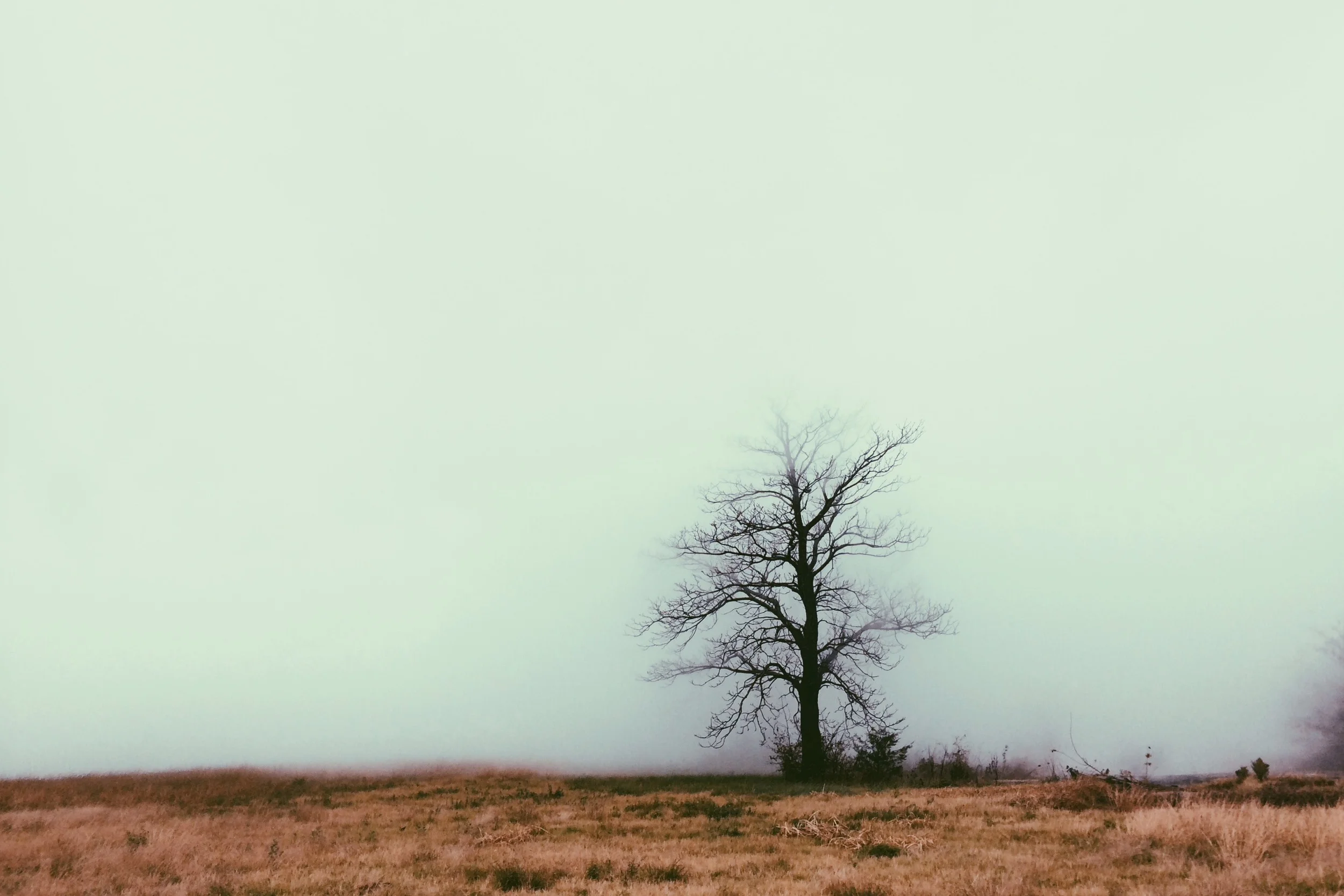 vscocam.jpg