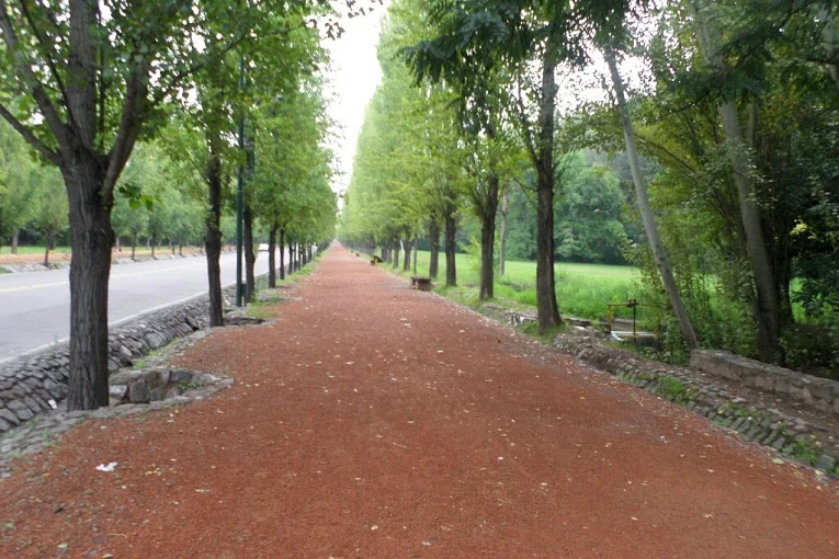 The park close to our hostel in Mendoza