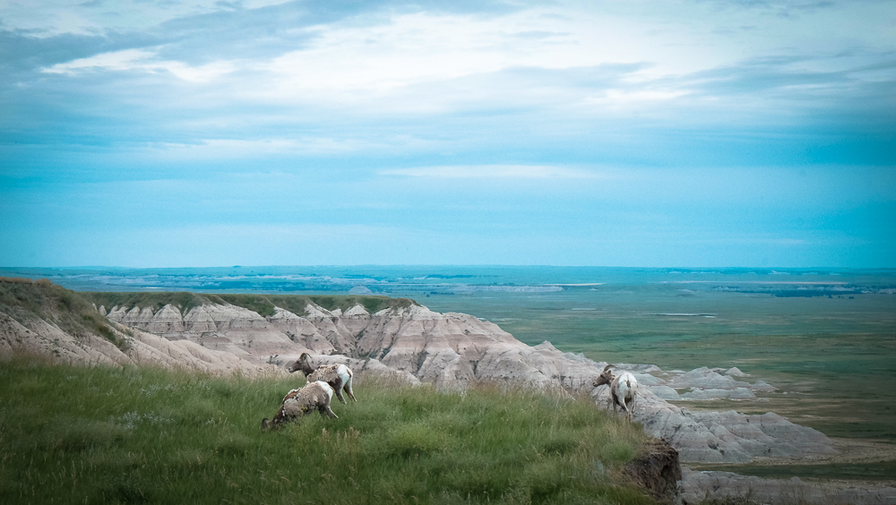 Badlands NP