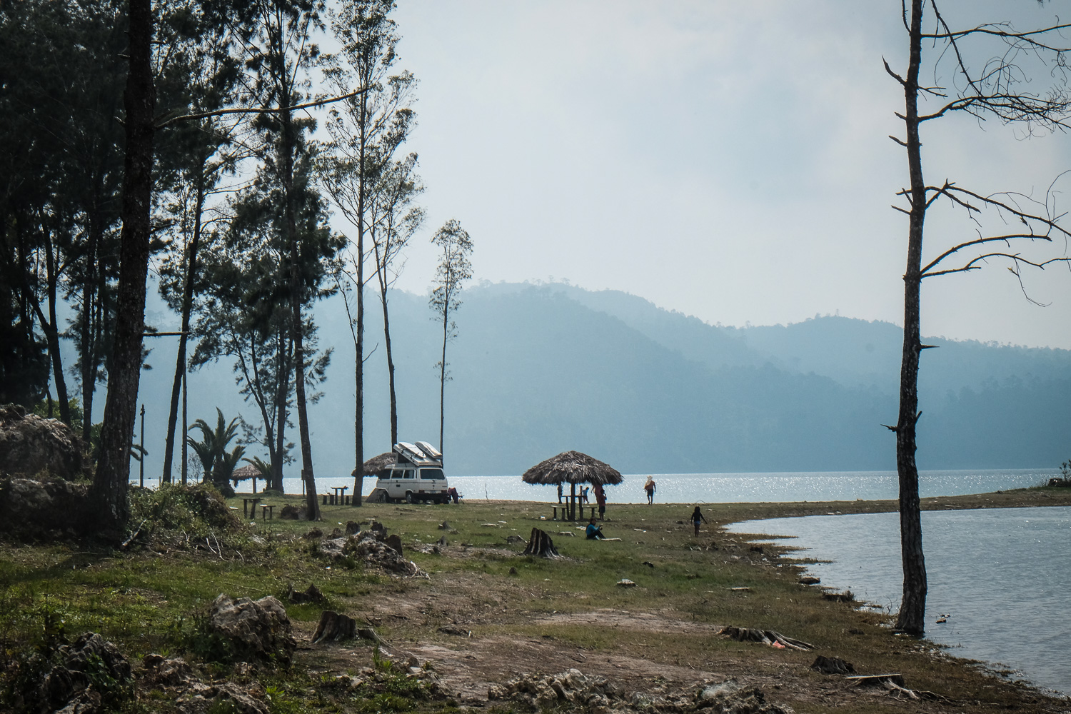 DSCF7130.jpg