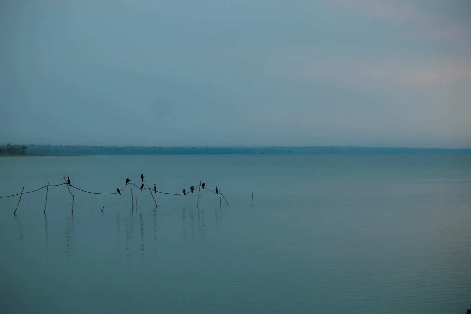 DSCF7555.jpg