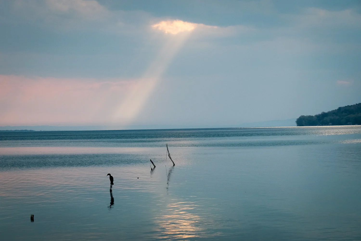 DSCF7614.jpg