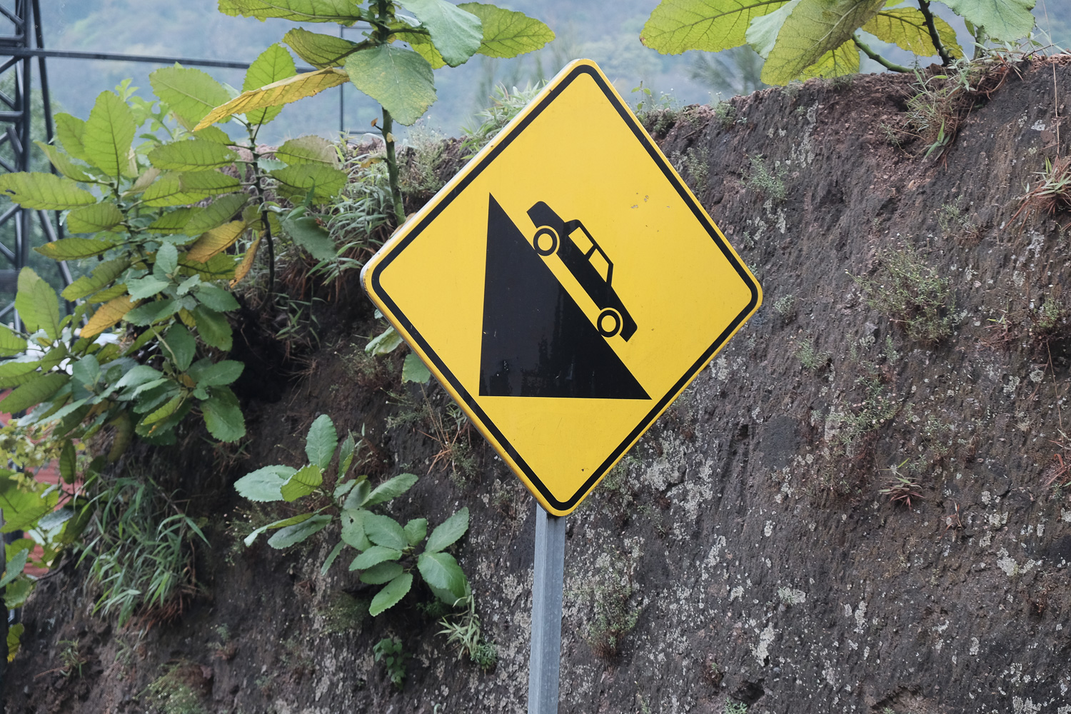 DSCF7641.jpg