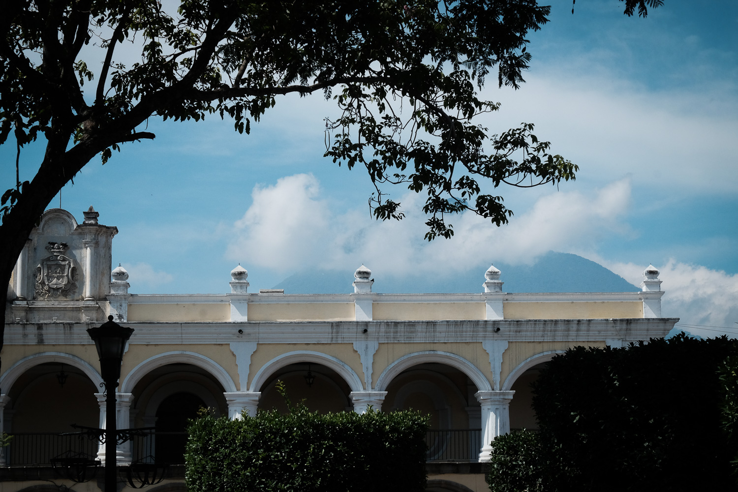 DSCF7645.jpg