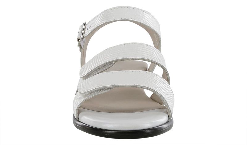 savannalizardwhite-5_1.jpg,
