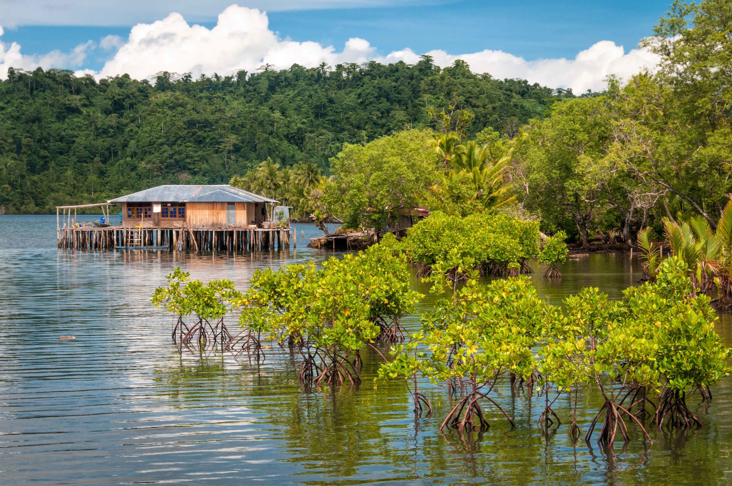 Papua Warironi 2013-04 013 YapenIs-Indonesia_V_TC.jpg