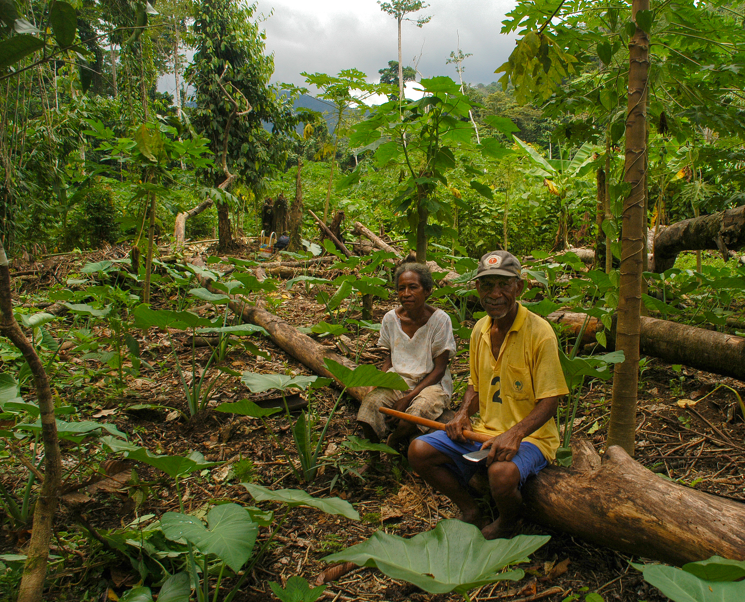Papua Warironi 2007-07 002 YapenIs-Indonesia.jpg