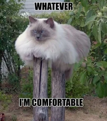 im-comfortable.jpg