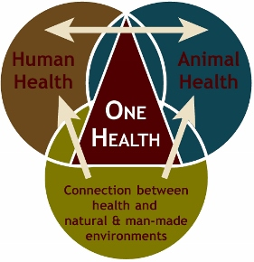 venn diagram poster (420x303).jpg