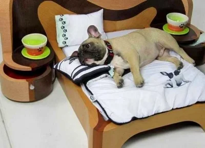 dog-cat-beds-pet-design-ideas-4-2.jpg