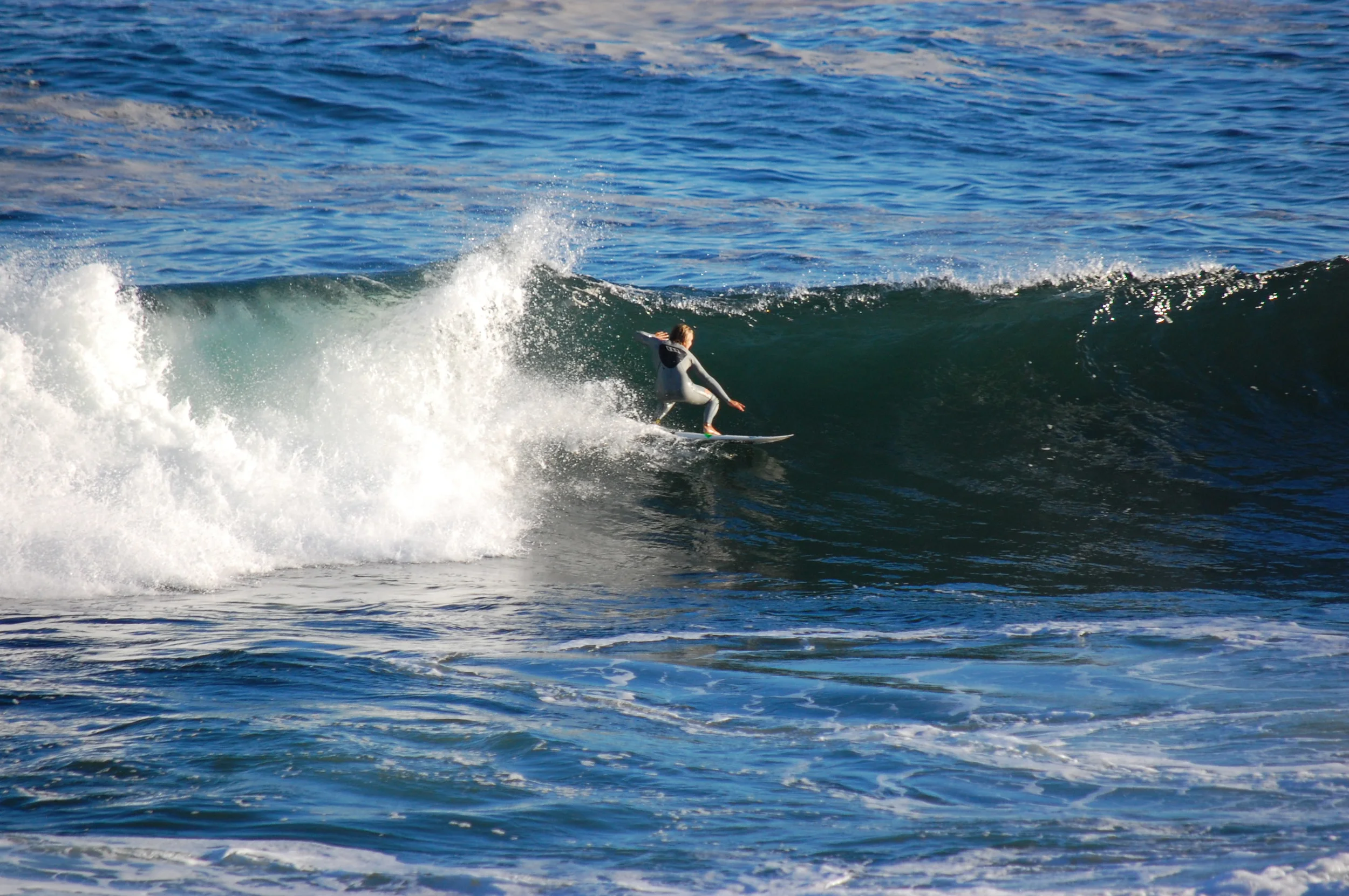 Pictures 2014 276.JPG