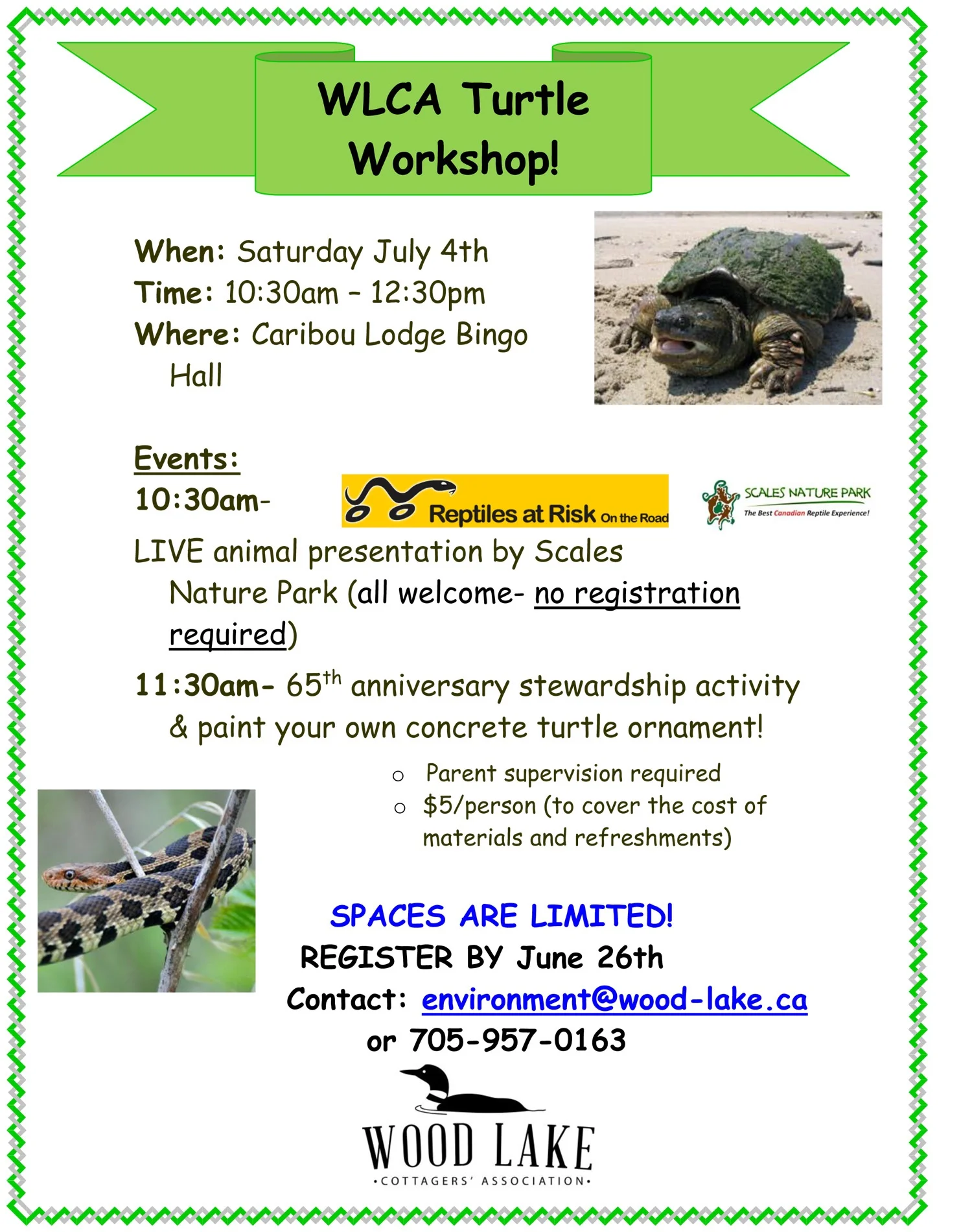 2015 Turtle Workshop.jpg