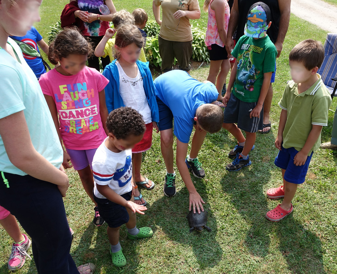  kids interacting with Blanding's turtle 