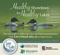 Apply Now for $1950 Shoreline Naturalization Grant