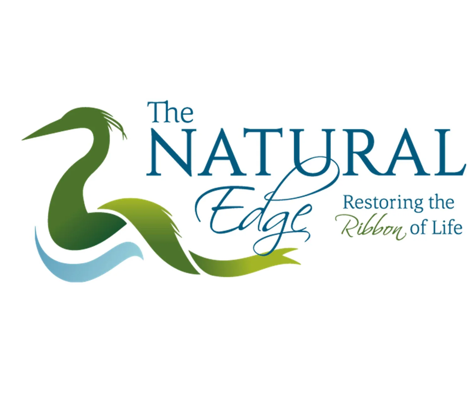 Shoreline Re-Naturalization help from The Natural Edge