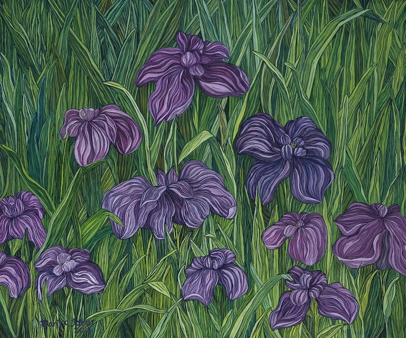 Iris