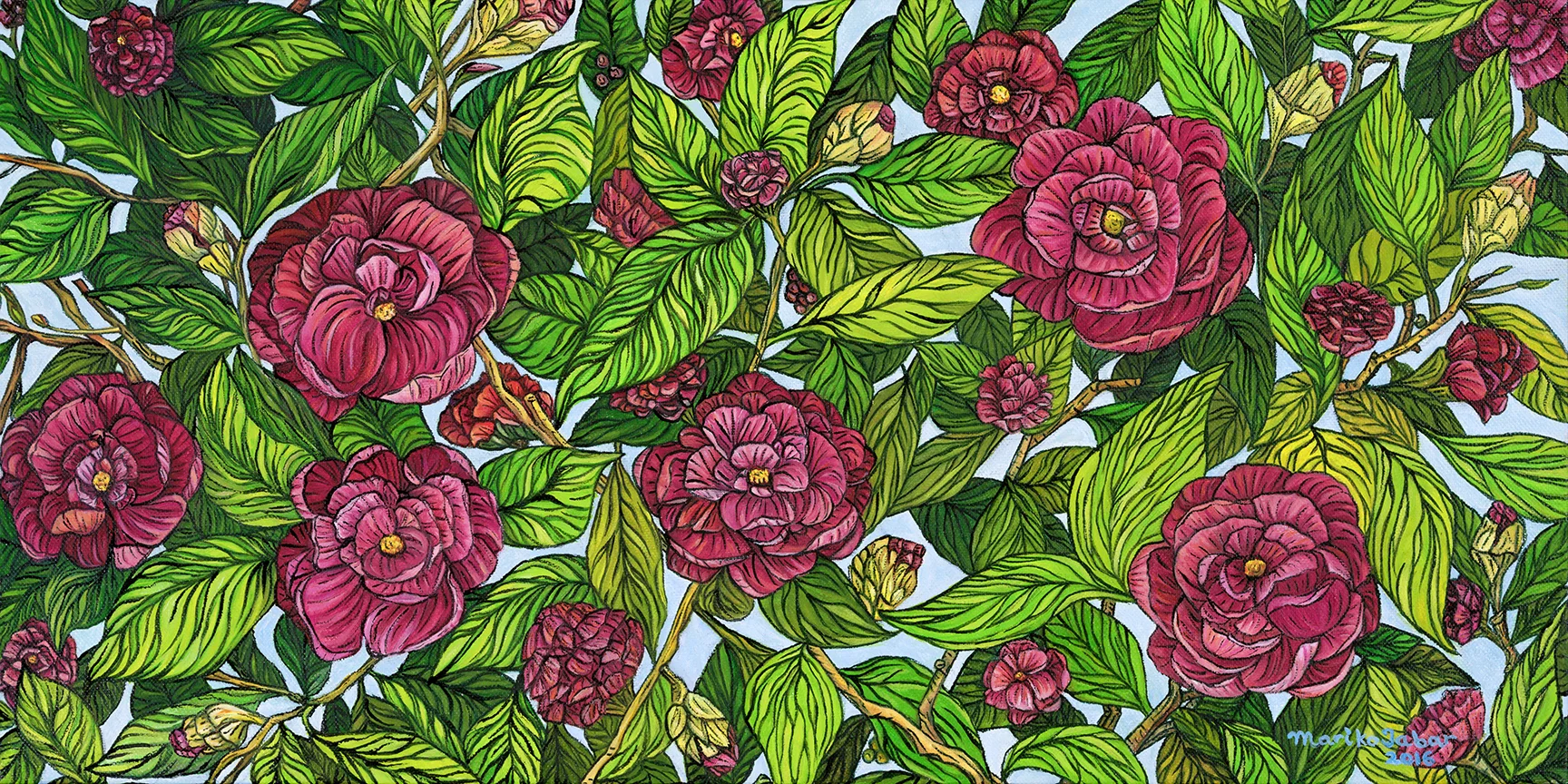 Camelia