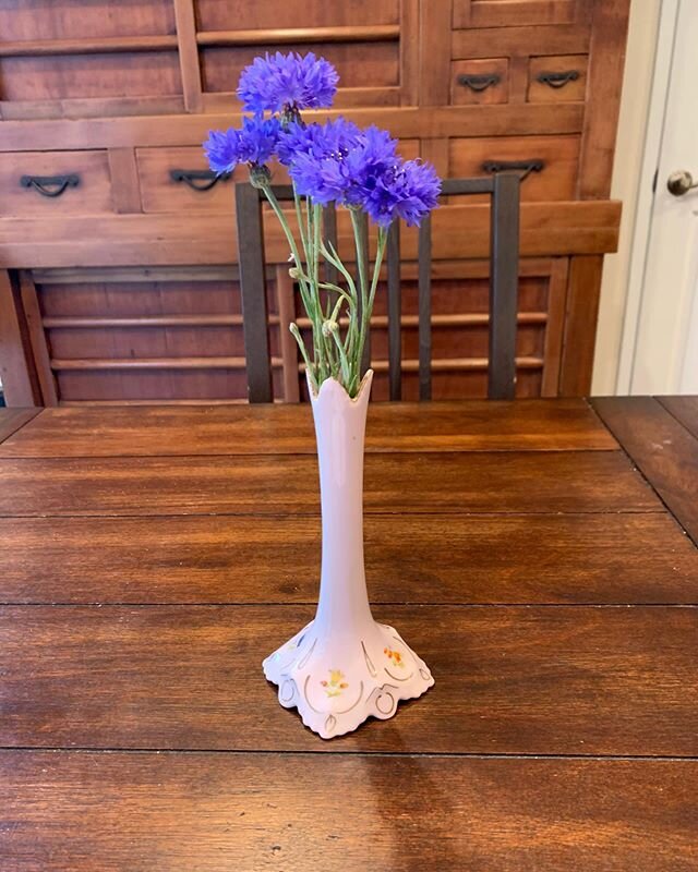 Purple flower in a vase from Praha (Prague)