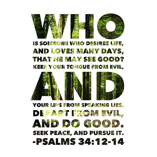 thehopecenter :
Who is someone who desires life, And loves many days, that he may see good? Keep your tongue from evil, And your lips from speaking lies. Depart from evil, and do good. Seek #peace, and pursue it. ~Psalms 34:12-14
#hopecenter #bible #scripture #love #jesus #christianity #thehopecenter #prayer #faith #bibleverse (at The Hope Center)