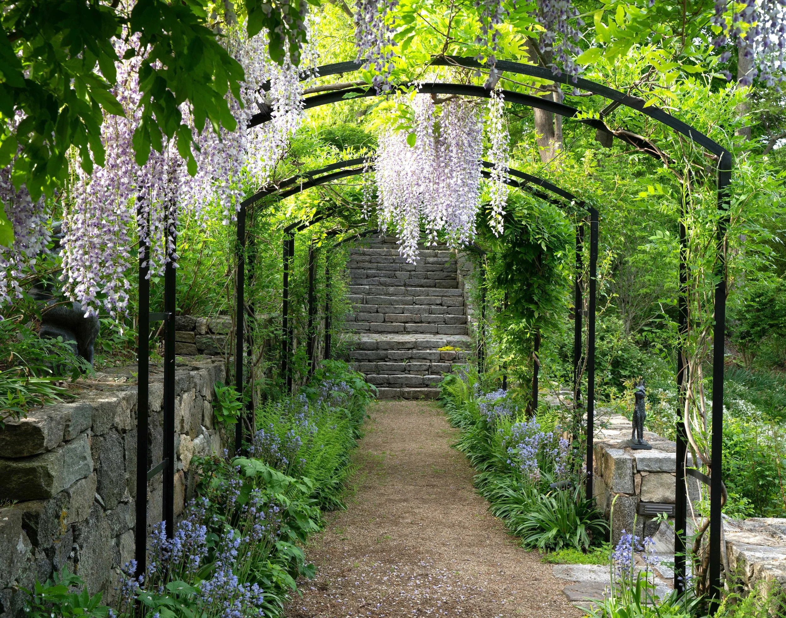 Landman Spring 20-15 copy.jpeg