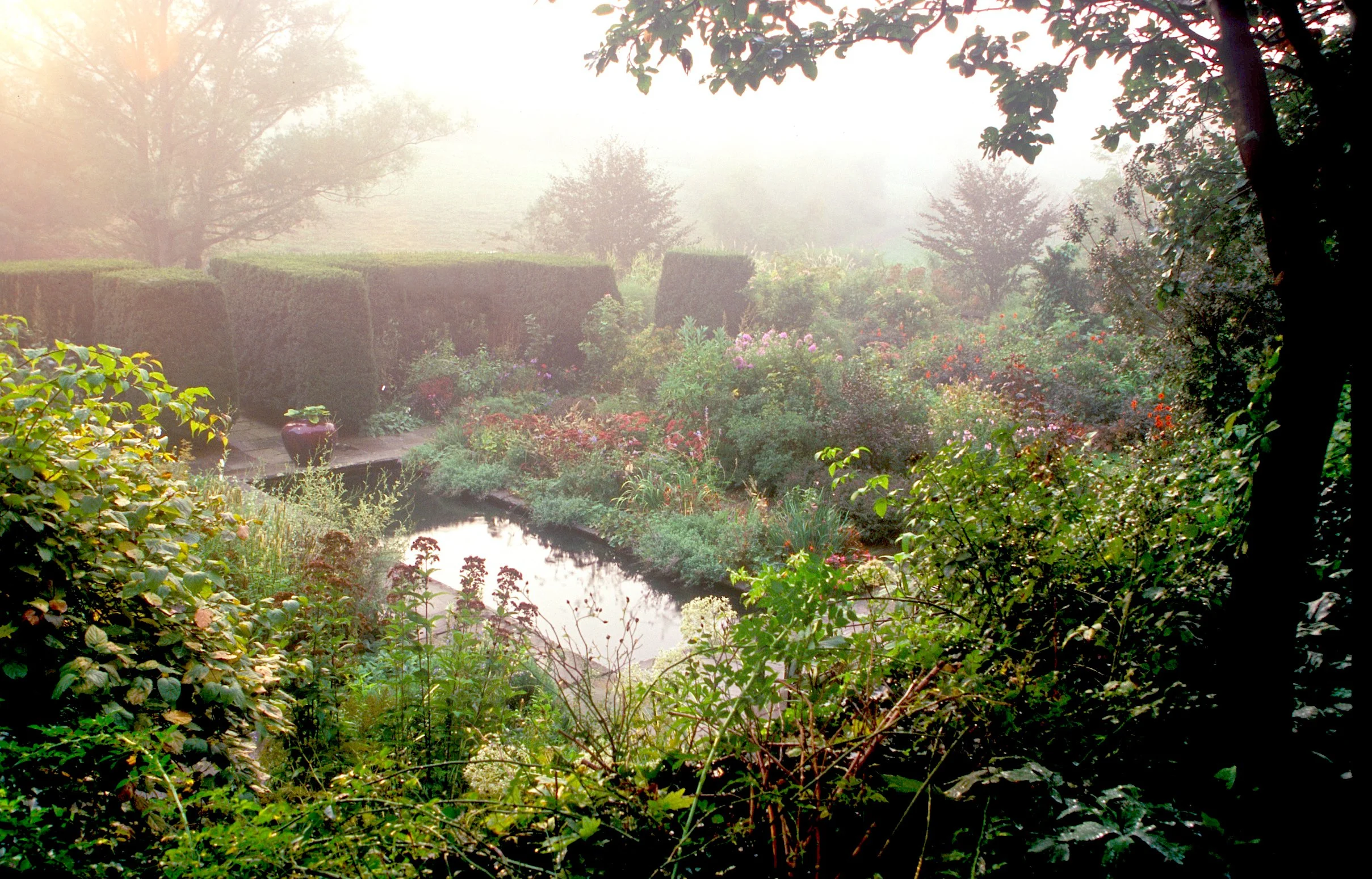 Hollister House pool fog copy 2.jpg