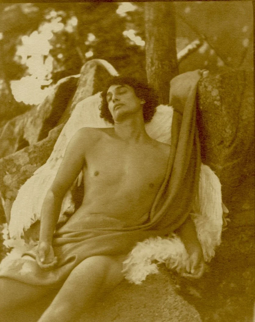 Spitz 1 copy.jpg