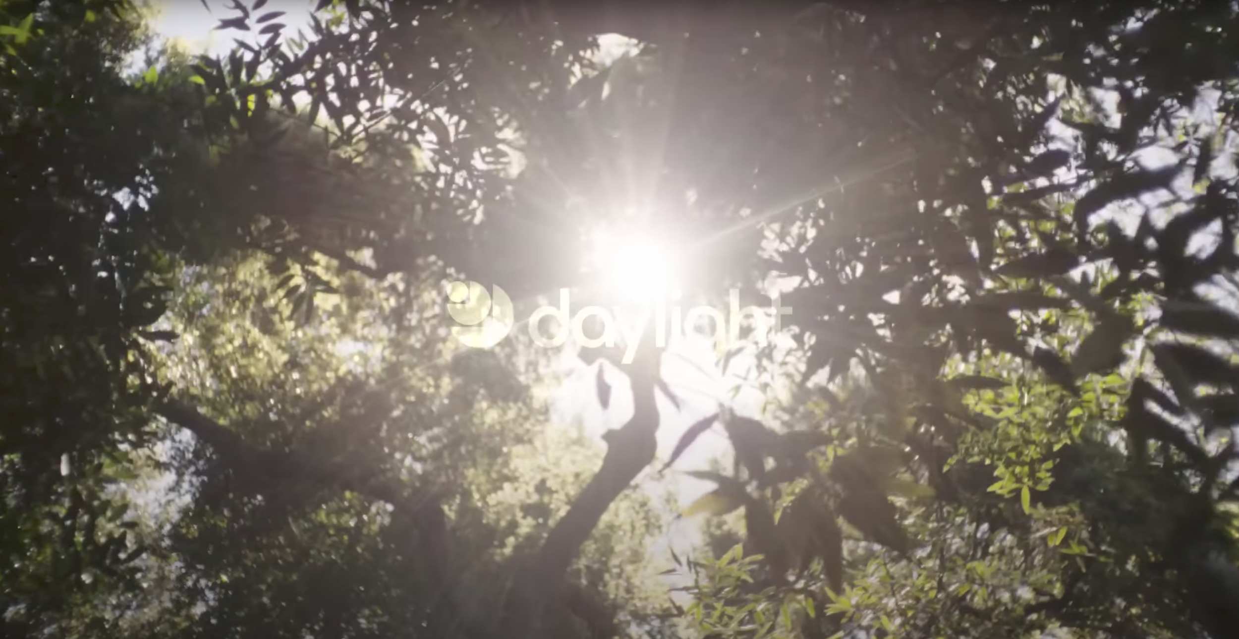 Introducing the Daylight Computer 🍃