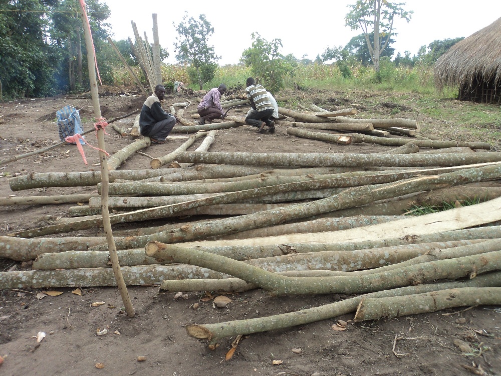 poles for superstructure