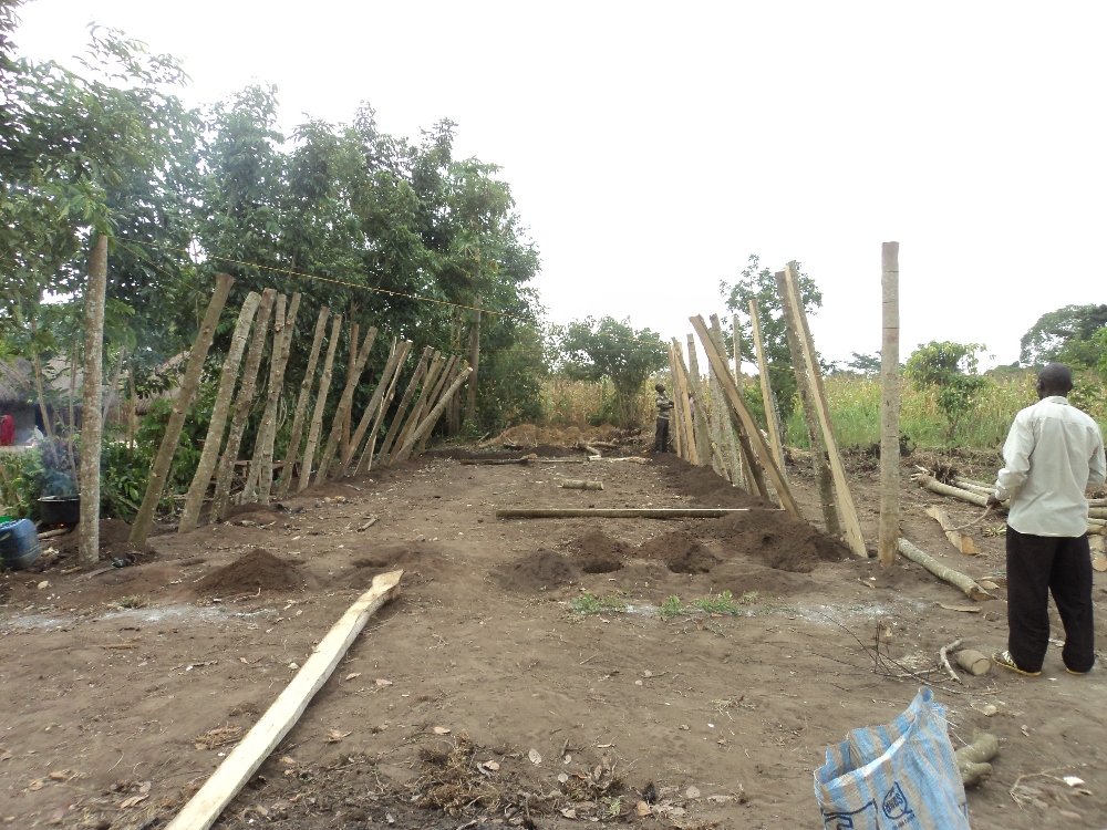 placing the verticals