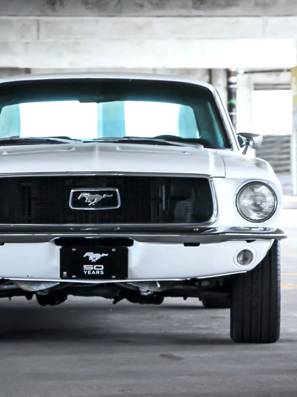 BROKEN MUSTANGS.  Only One Reason to Call Someone You Love.