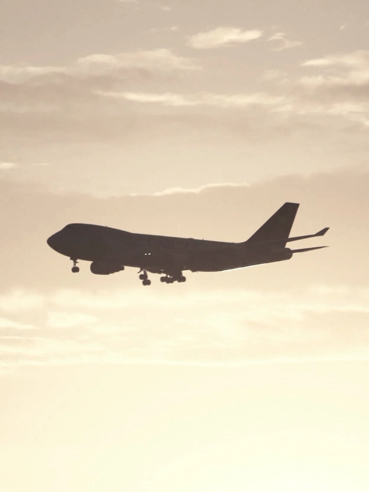 FLIGHT TO STILLNESS.  Facing Your Unknowns...Just You and God.