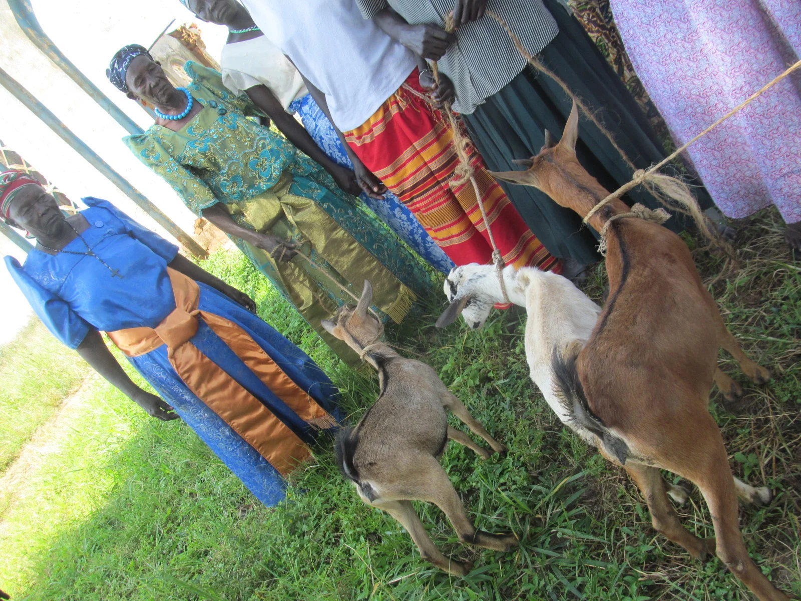 10 goats were gifted to the Village of Paicho, a special Christmas for the families who received them!