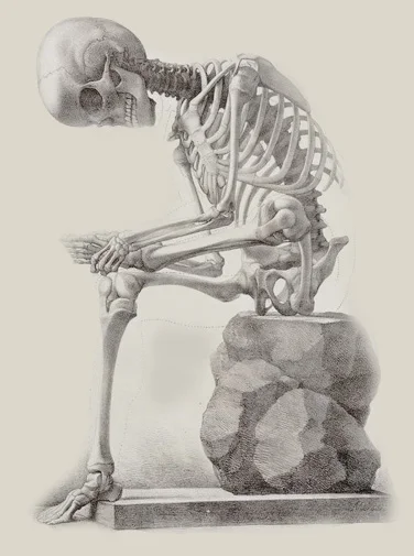 backontrack_final.jpg