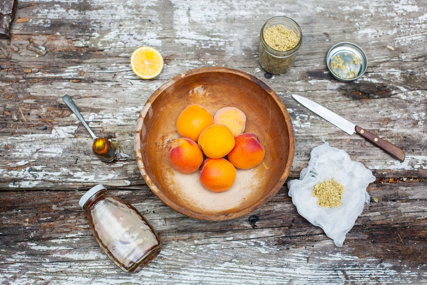HHS-CU-ApricotJam-Ingredients.jpg