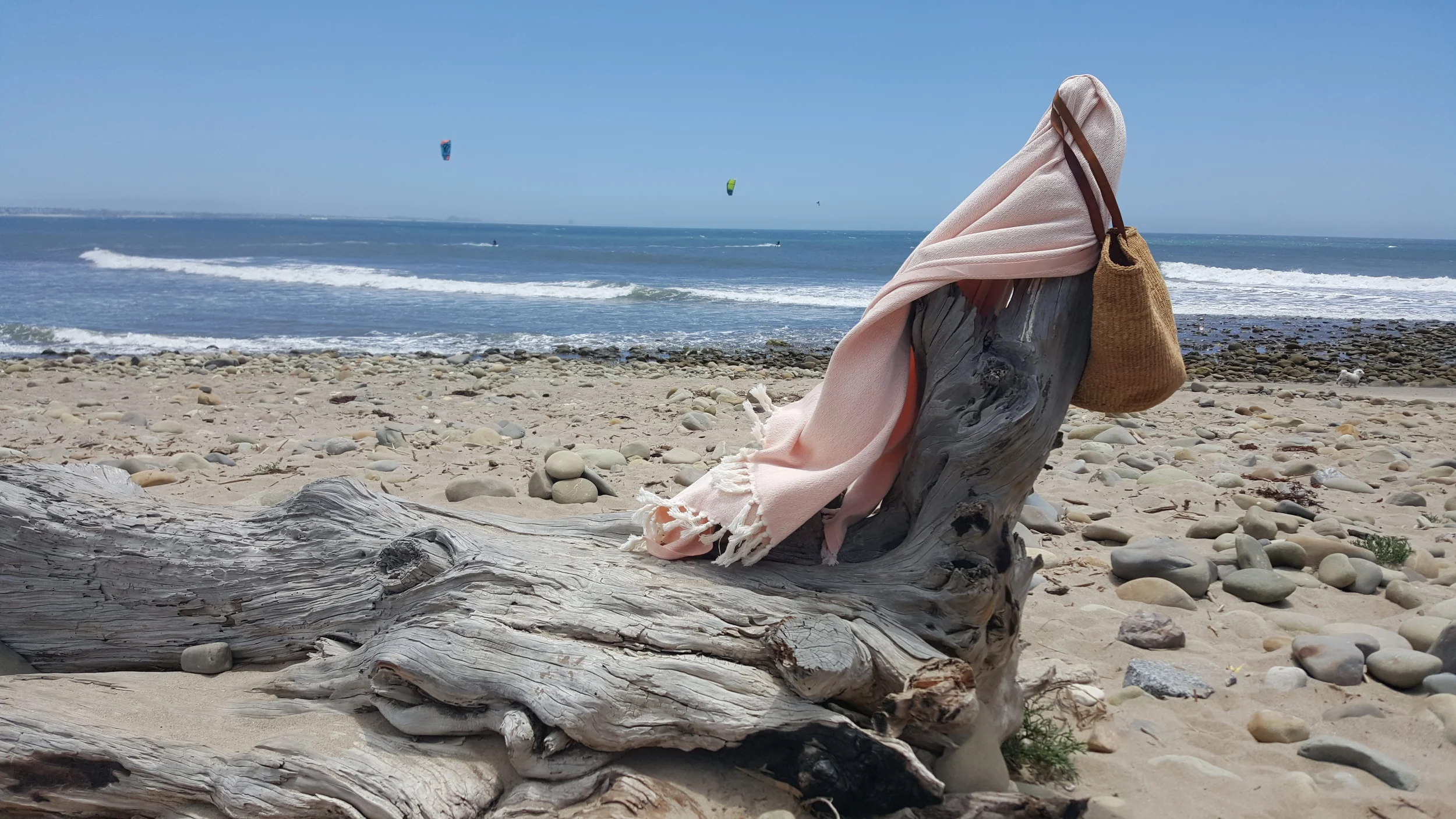 20160619_125614.jpg