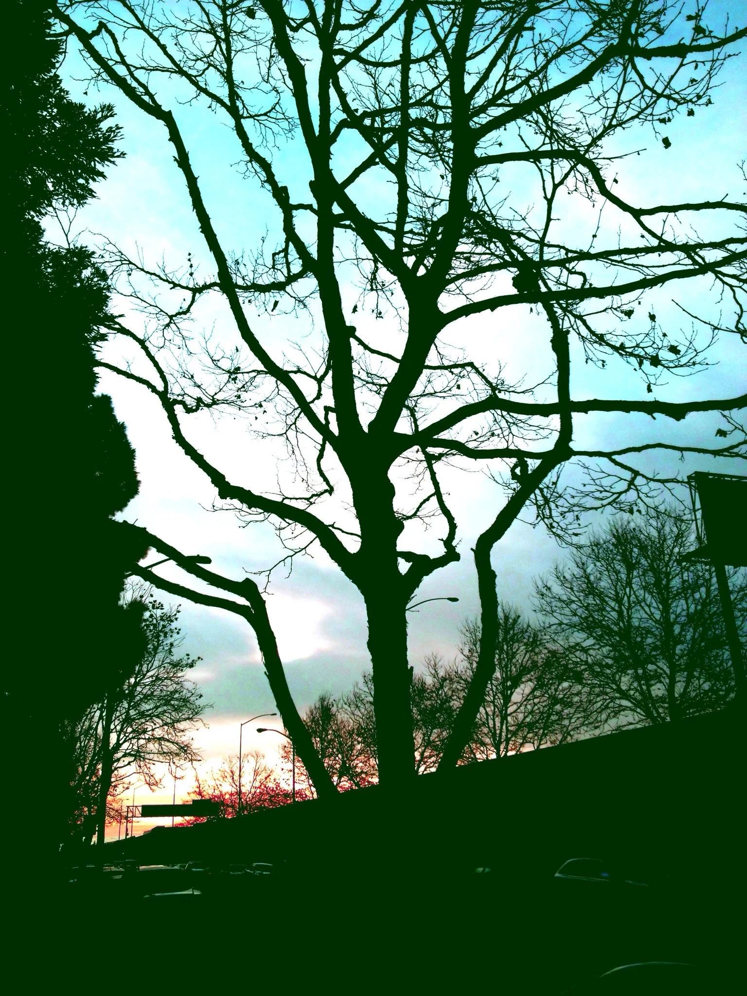 566751_10151121528897093_1474201808_o.jpg