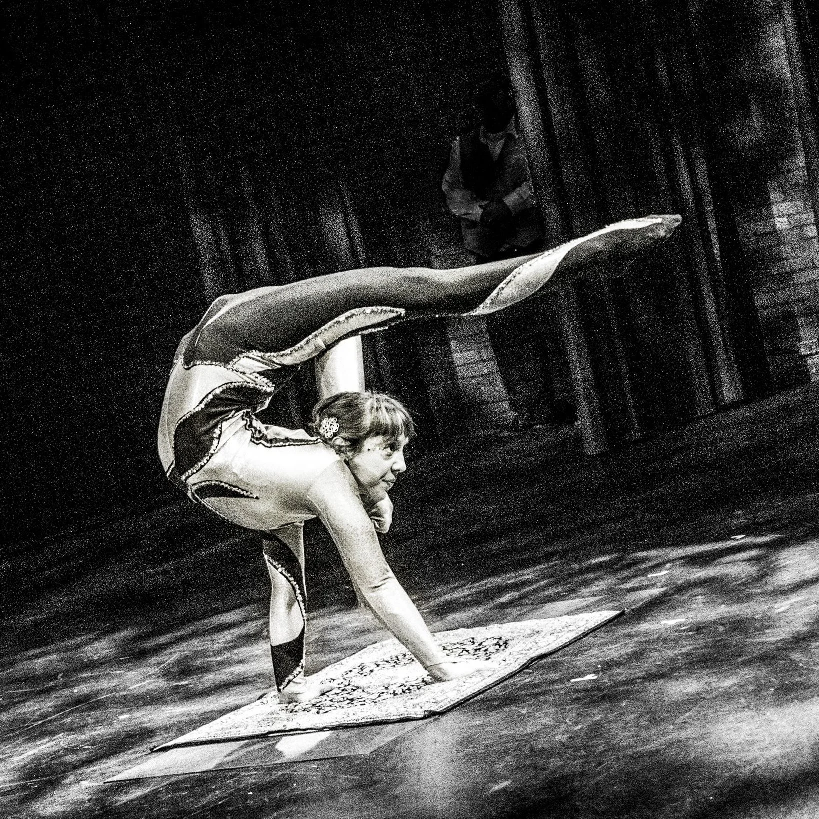 Photo by Robert Wilson, March 2016