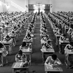 democratizing assessment