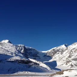 montessori and the genesis of environmental design