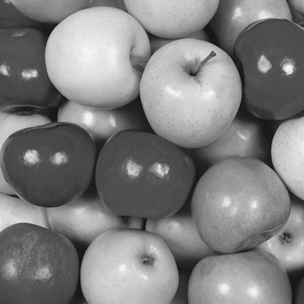 deconstructing school choice