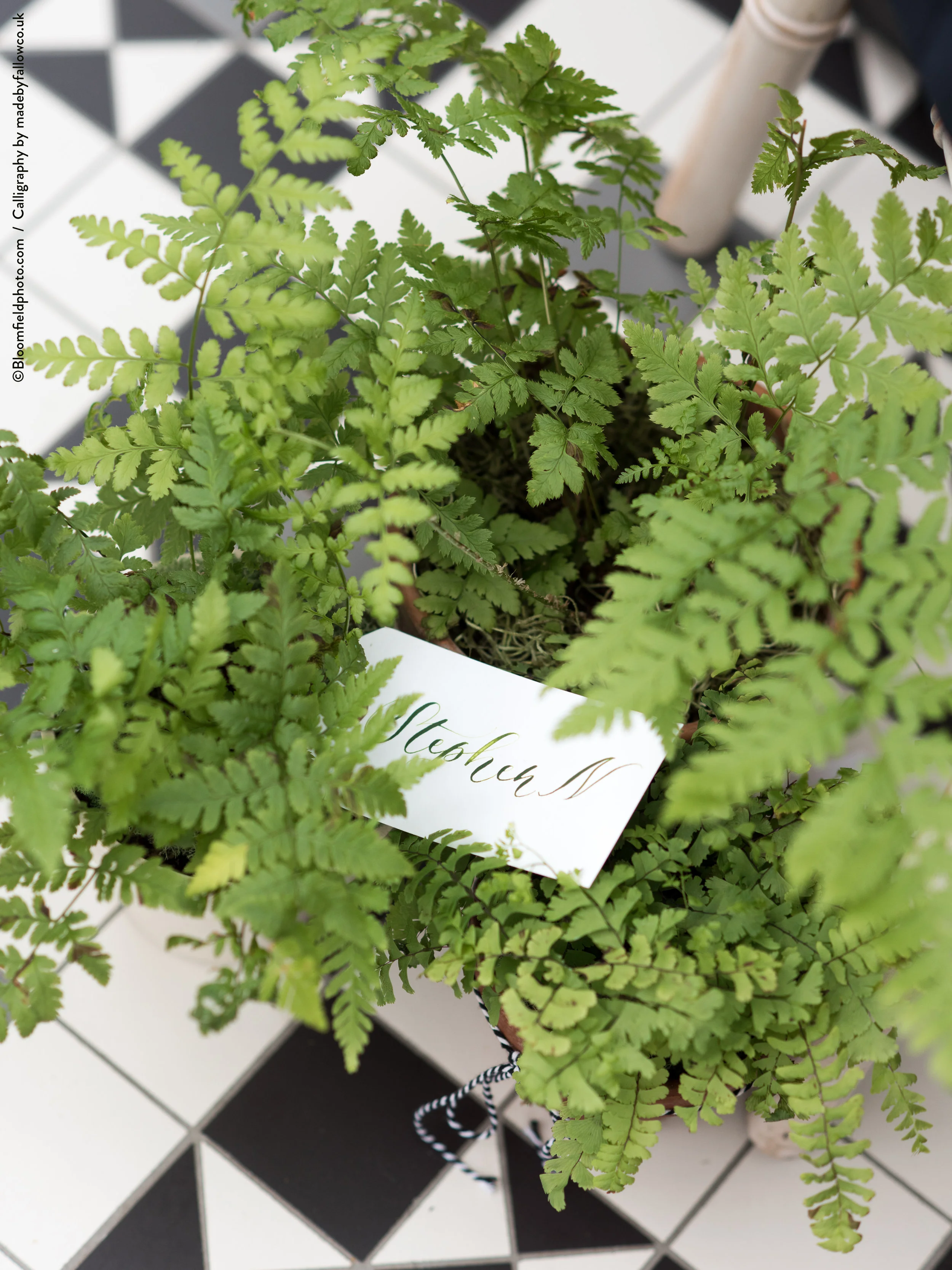 fallow-calligraphy-place-card-greenery.jpg