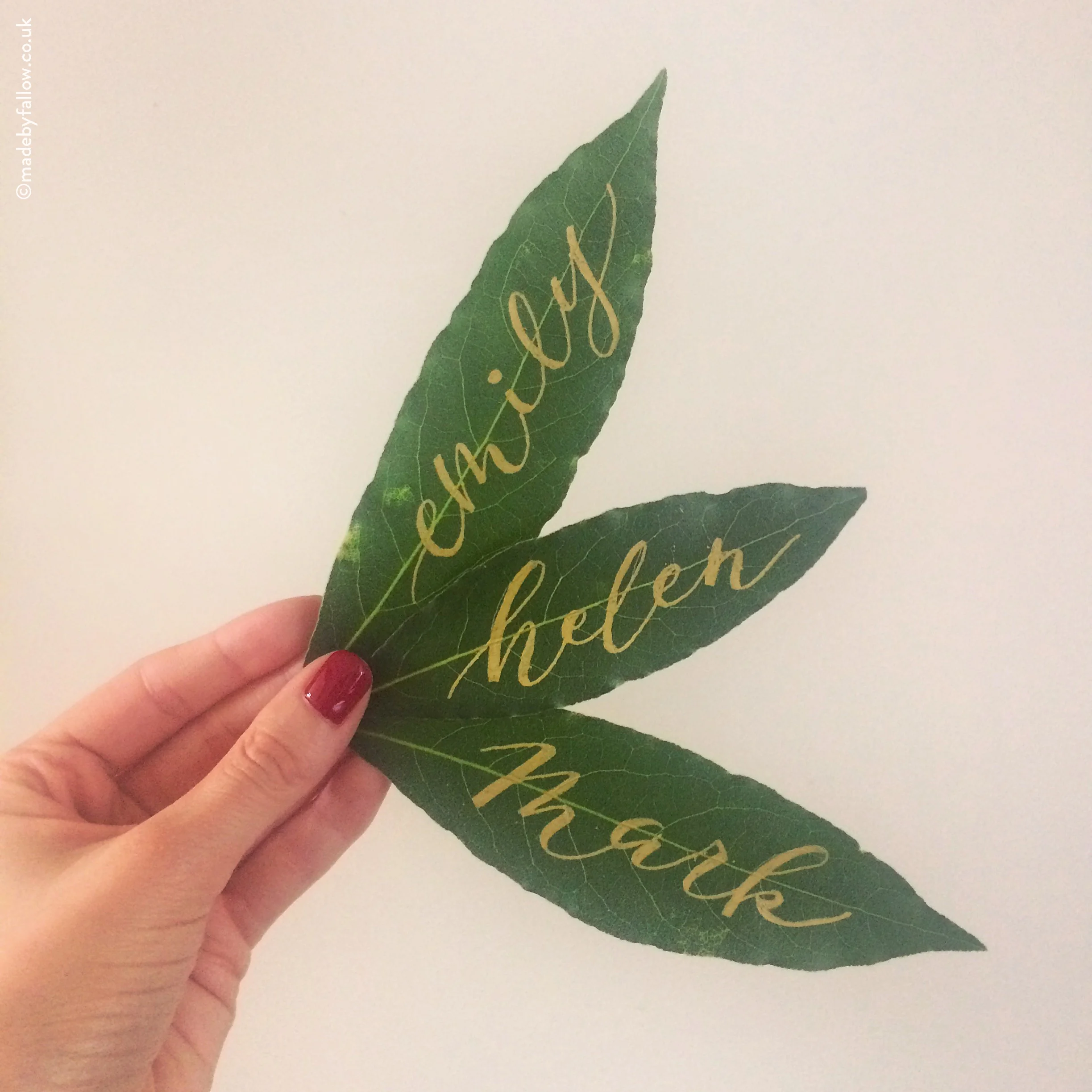 fallow-leaves-calligraphy-gold.jpg