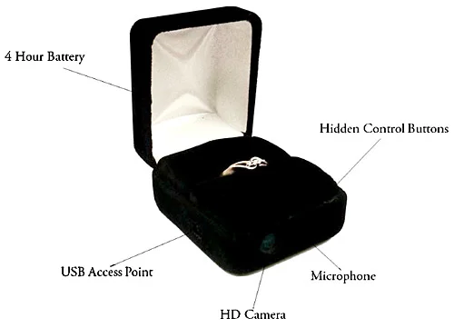 The Ring Cam can be purchased for $149.00 to $249.00, or you can rent the box for just $99.