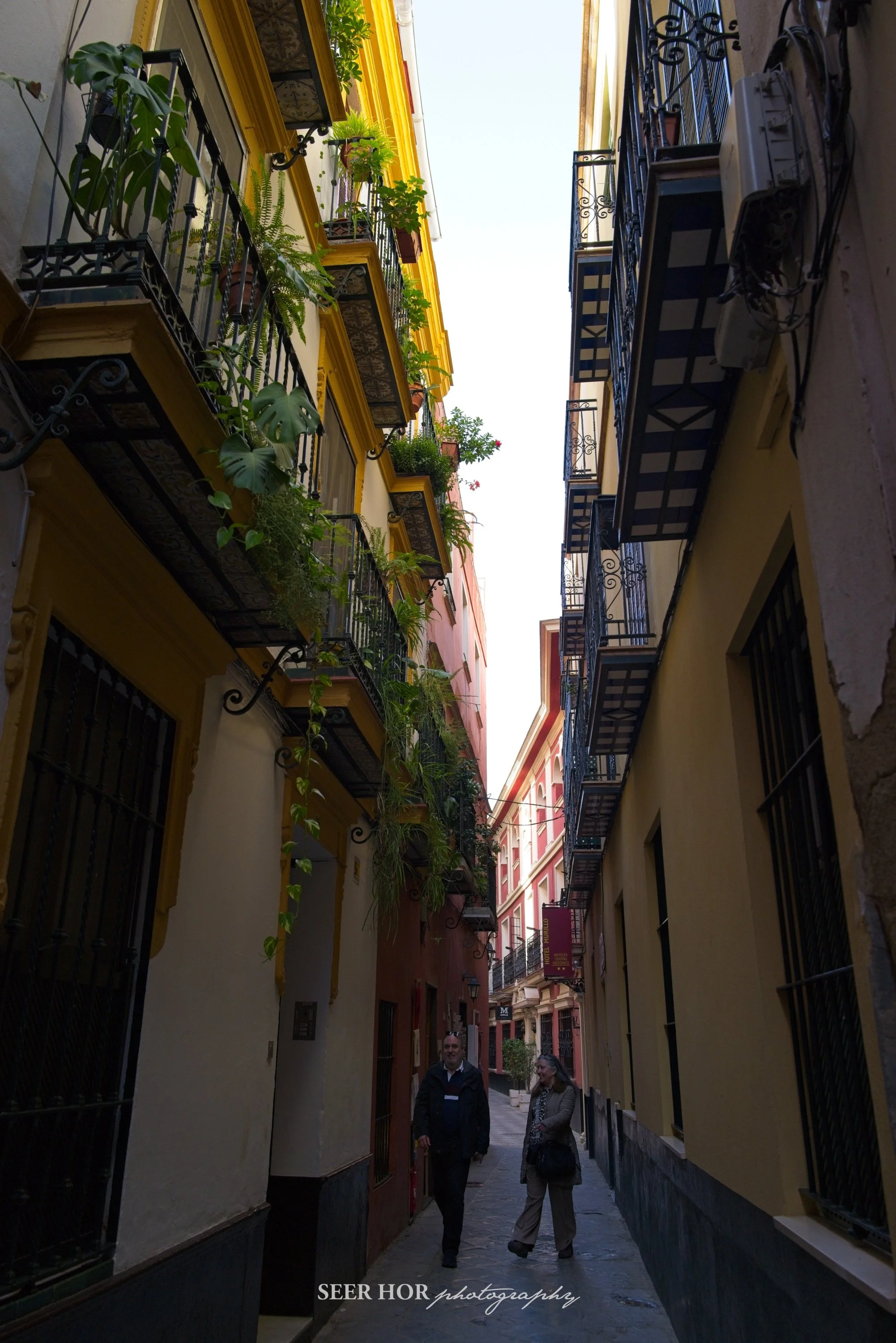 Seville 2025 045.jpg