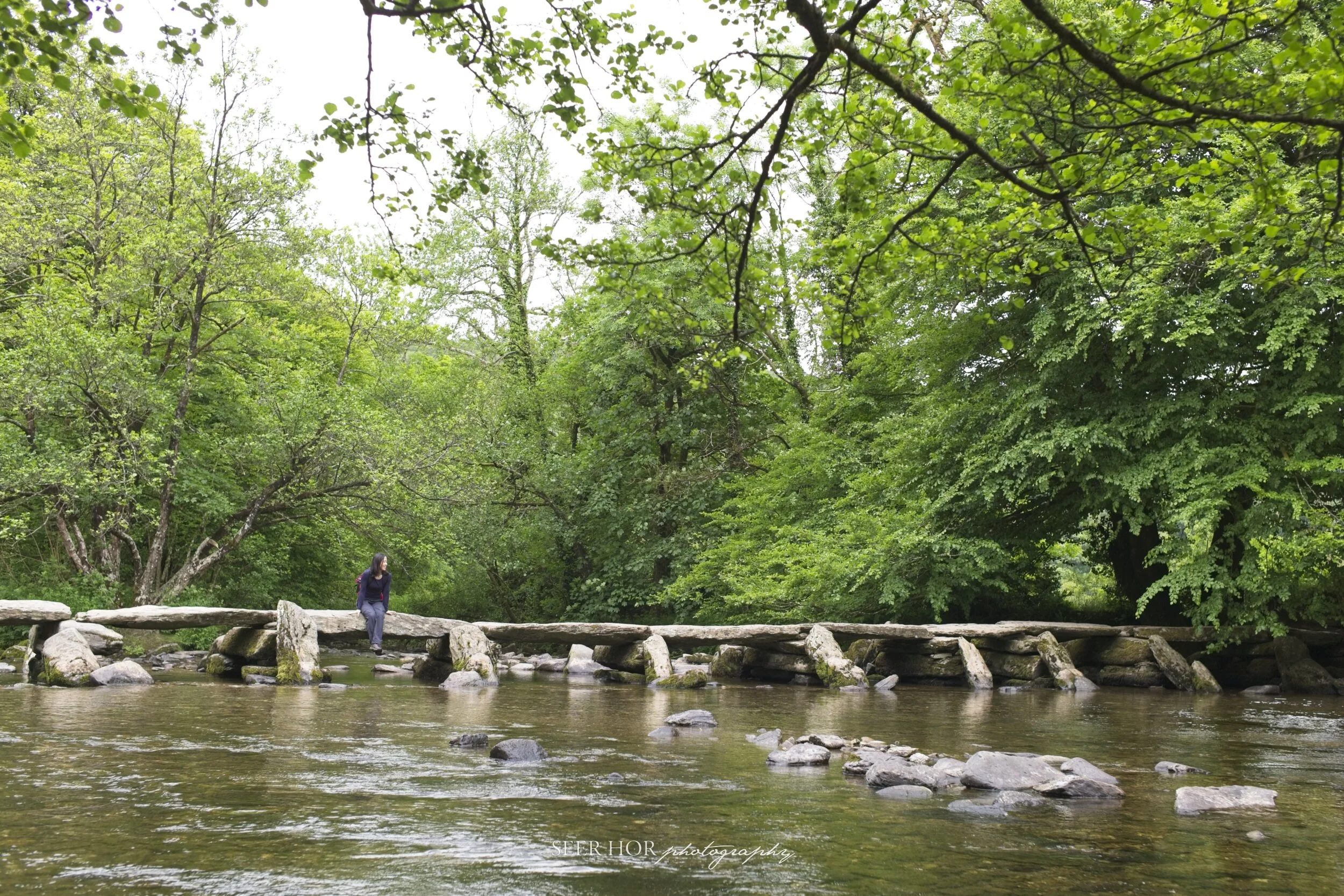 Exmoor0019.jpg