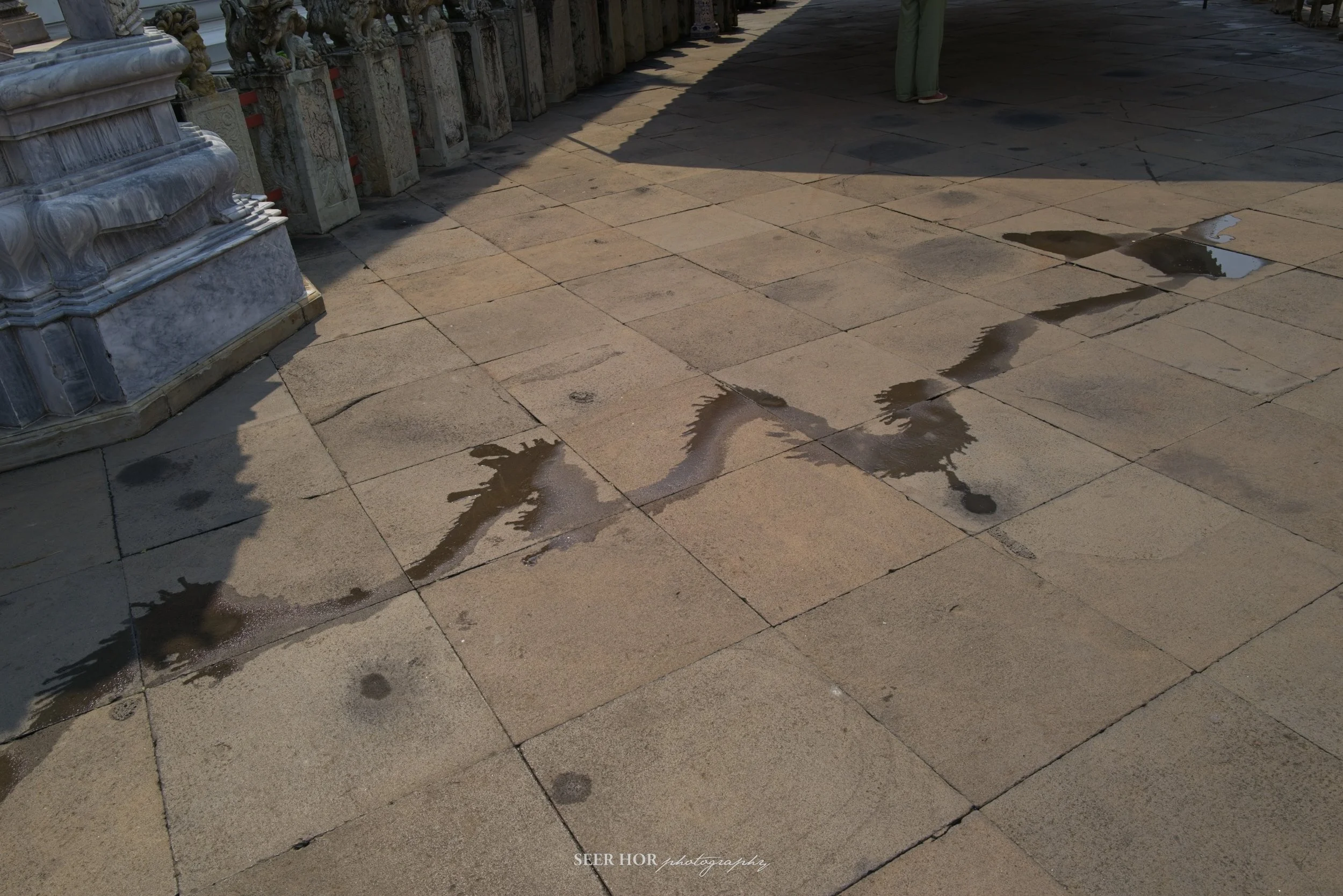 A dragon magically appeared while the gardener was using the hose, Wat Arun