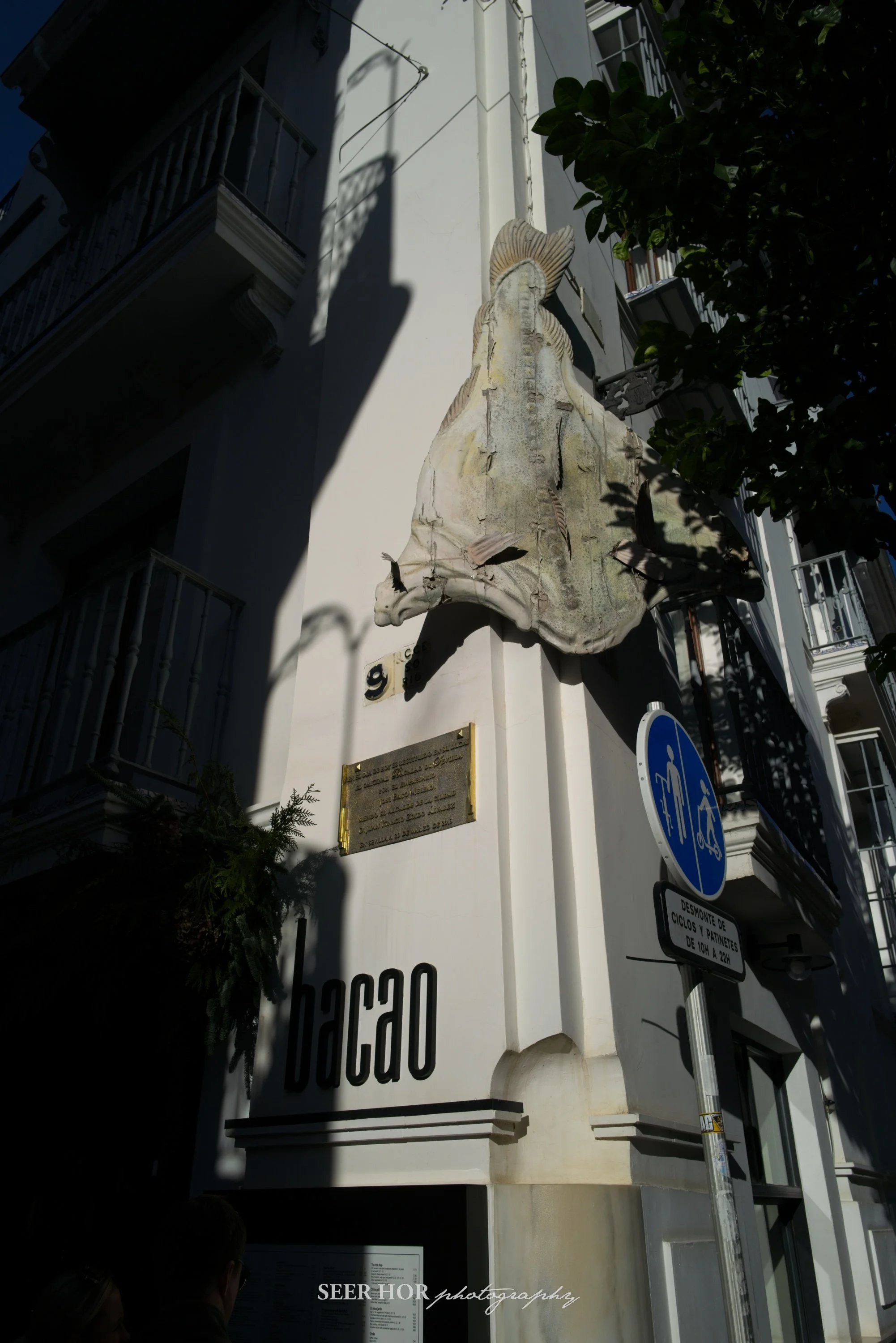 Seville 2025 037.jpg