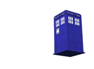 tardis-spinw.gif