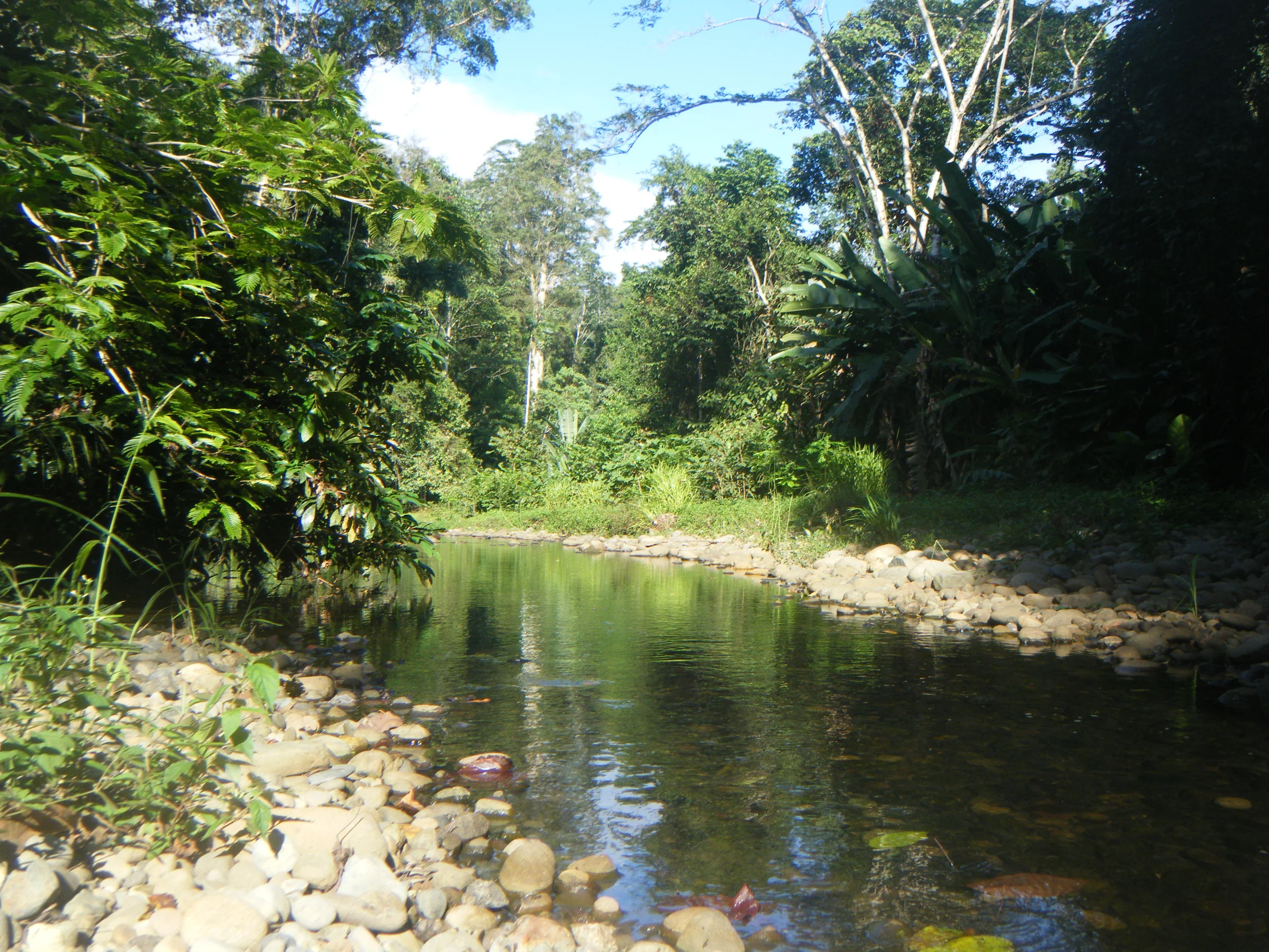 River and forest common area at SEED, a land-based ecovillage in Costa Rica with shared natural spaces and protected waterways.